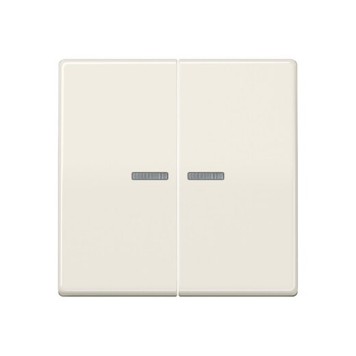 Jung HOME Taster 2fach, Duroplast, Serie AS, weiß BTAS17102