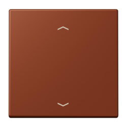 Jung Wippe, mit Pfeilsymbolen für Taster 1fach,...