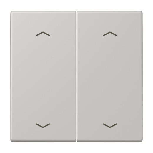Jung Wippe, mit Pfeilsymbolen für Taster 2fach, Serie LS, gris clair 31 LC102P205