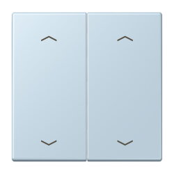 Jung Wippe, mit Pfeilsymbolen für Taster 2fach,...