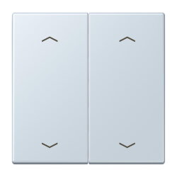 Jung Wippe, mit Pfeilsymbolen für Taster 2fach,...