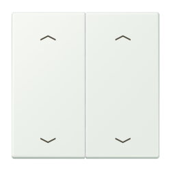 Jung Wippe, mit Pfeilsymbolen für Taster 2fach,...