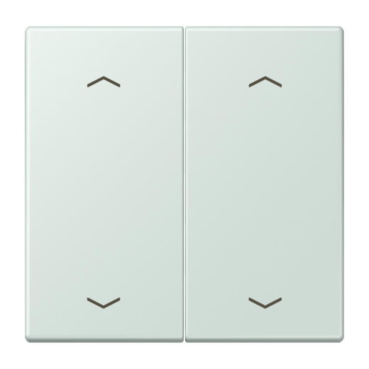 Jung Wippe, mit Pfeilsymbolen für Taster 2fach, Serie LS, céruléen pale LC102P215