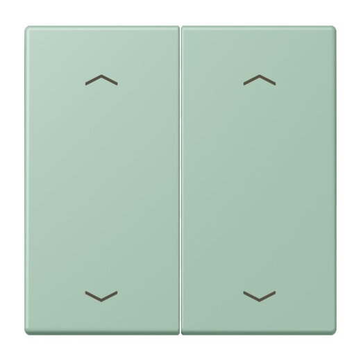 Jung Wippe, mit Pfeilsymbolen für Taster 2fach, Serie LS, vert anglais clair LC102P217