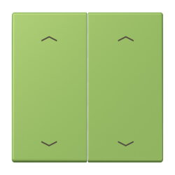 Jung Wippe, mit Pfeilsymbolen für Taster 2fach,...