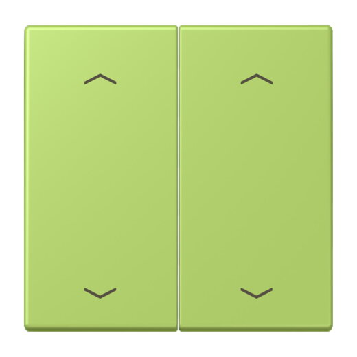 Jung Wippe, mit Pfeilsymbolen für Taster 2fach, Serie LS, vert clair LC102P221