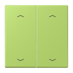 Jung Wippe, mit Pfeilsymbolen für Taster 2fach,...