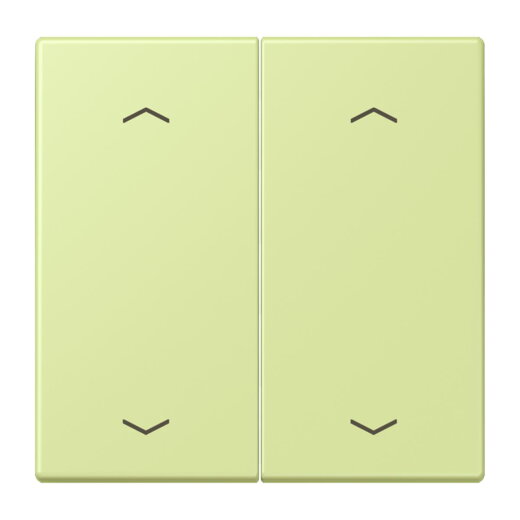 Jung Wippe, mit Pfeilsymbolen für Taster 2fach, Serie LS, vert jaune clair LC102P222