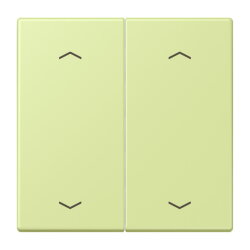 Jung Wippe, mit Pfeilsymbolen für Taster 2fach,...