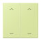 Jung Wippe, mit Pfeilsymbolen für Taster 2fach, Serie LS, vert jaune clair LC102P222