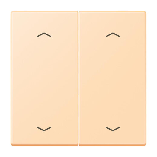 Jung Wippe, mit Pfeilsymbolen für Taster 2fach, Serie LS, ocre LC102P223