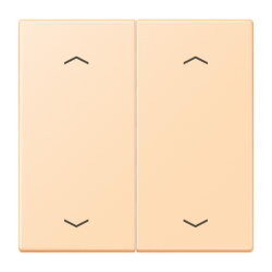 Jung Wippe, mit Pfeilsymbolen für Taster 2fach,...