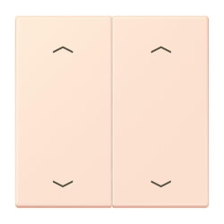 Jung Wippe, mit Pfeilsymbolen für Taster 2fach,...