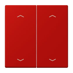 Jung Wippe, mit Pfeilsymbolen für Taster 2fach,...