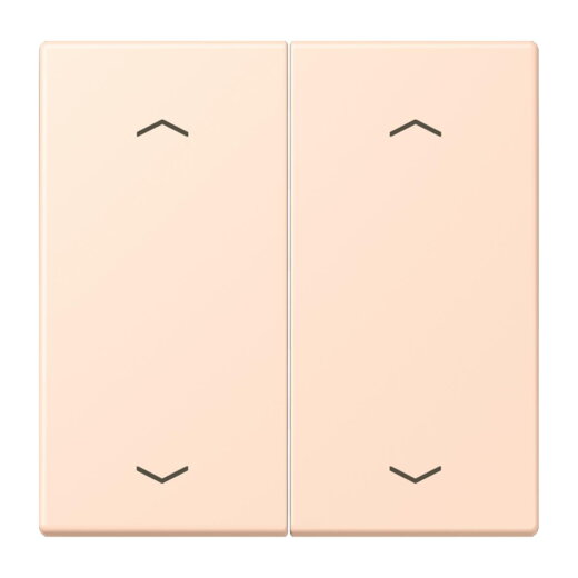 Jung Wippe, mit Pfeilsymbolen für Taster 2fach, Serie LS, rose pâle LC102P228