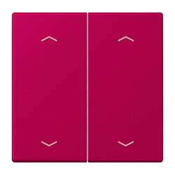 Jung Wippe, mit Pfeilsymbolen für Taster 2fach,...