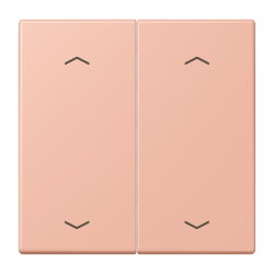 Jung Wippe, mit Pfeilsymbolen für Taster 2fach,...