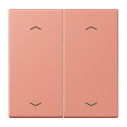 Jung Wippe, mit Pfeilsymbolen für Taster 2fach,...