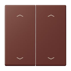 Jung Wippe, mit Pfeilsymbolen für Taster 2fach,...