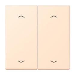 Jung Wippe, mit Pfeilsymbolen für Taster 2fach,...