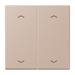 Jung Wippe, mit Pfeilsymbolen für Taster 2fach,...