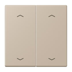 Jung Wippe, mit Pfeilsymbolen für Taster 2fach,...