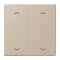 Jung Wippe, mit Pfeilsymbolen für Taster 2fach, Serie LS, ombre naturelle claire LC102P243
