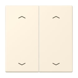 Jung Wippe, mit Pfeilsymbolen für Taster 2fach,...