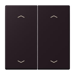 Jung Wippe, mit Pfeilsymbolen für Taster 2fach,...