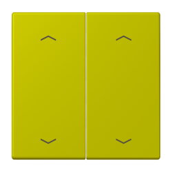 Jung Wippe, mit Pfeilsymbolen für Taster 2fach,...