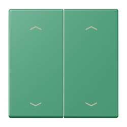 Jung Wippe, mit Pfeilsymbolen für Taster 2fach,...