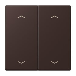 Jung Wippe, mit Pfeilsymbolen für Taster 2fach,...