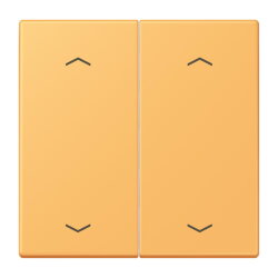 Jung Wippe, mit Pfeilsymbolen für Taster 2fach,...