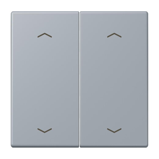 Jung Wippe, mit Pfeilsymbolen für Taster 2fach, Serie LS, gris clair 59 LC102P257