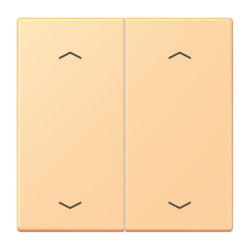 Jung Wippe, mit Pfeilsymbolen für Taster 2fach,...