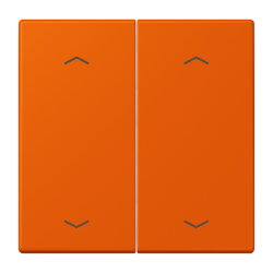 Jung Wippe, mit Pfeilsymbolen für Taster 2fach,...