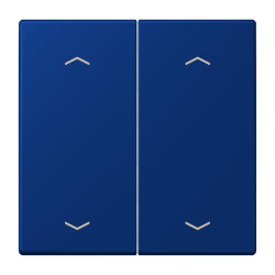 Jung Wippe, mit Pfeilsymbolen für Taster 2fach,...