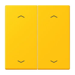 Jung Wippe, mit Pfeilsymbolen für Taster 2fach,...