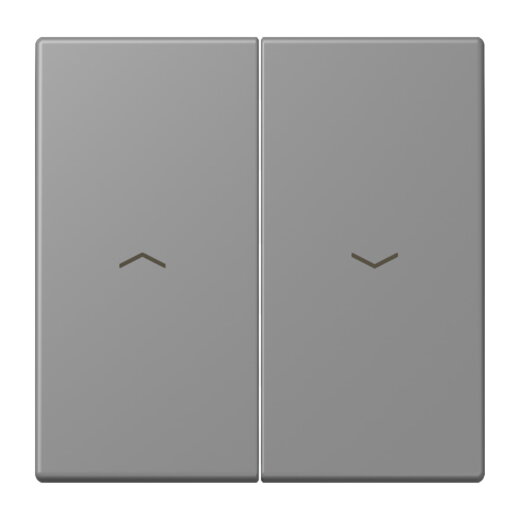 Jung Wippe 2fach, mit Pfeilsymbolen, Serie LS, gris 31 LC995P203