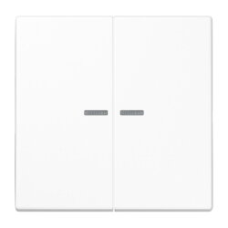 Jung HOME Taster 2fach, Duroplast, Serie LS,...