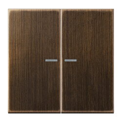 Jung HOME Taster 2fach, Messing, Serie LS, Messing antik...