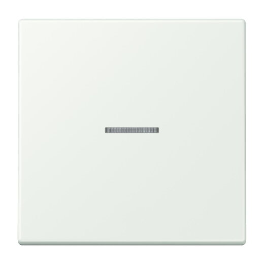 Jung HOME Taster 1fach, Serie LS, outremer gris BTLC17101210