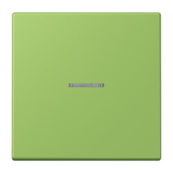 Jung HOME Taster 1fach, Serie LS, vert 31 BTLC17101220