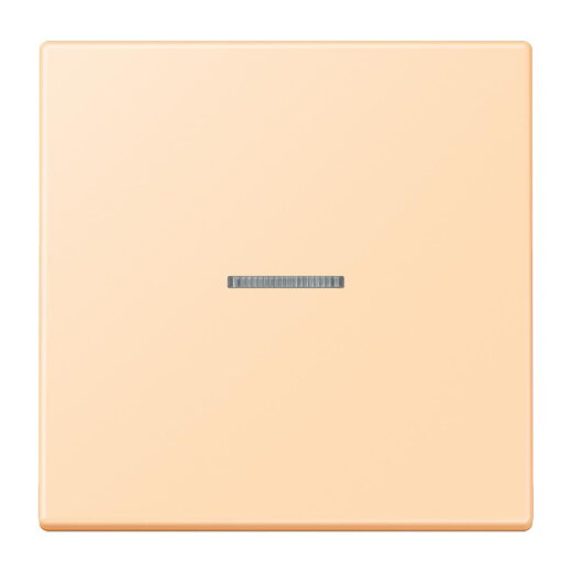 Jung HOME Taster 1fach, Serie LS, ocre BTLC17101223