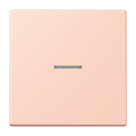 Jung HOME Taster 1fach, Serie LS, locre rouge clair BTLC17101234