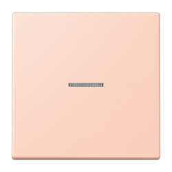 Jung HOME Taster 1fach, Serie LS, locre rouge clair...