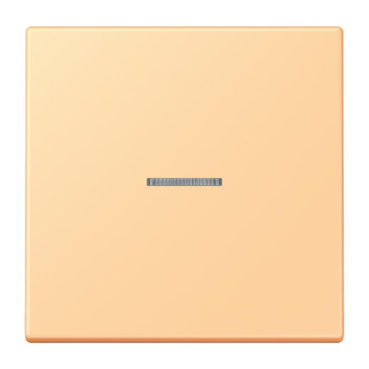 Jung HOME Taster 1fach, Serie LS, terre sienne claire 59 BTLC17101258