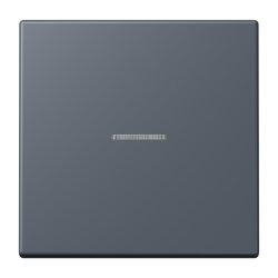 Jung HOME Taster 1fach, Serie LS, gris fonce 59 BTLC17101262