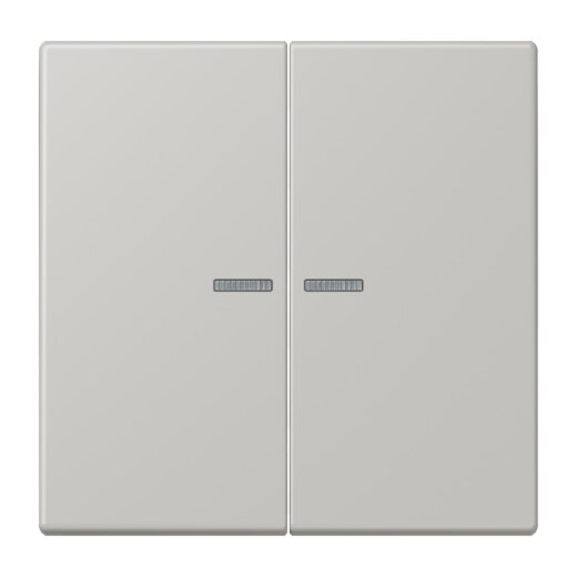 Jung HOME Taster 2fach, Serie LS, gris clair 31 BTLC17102205