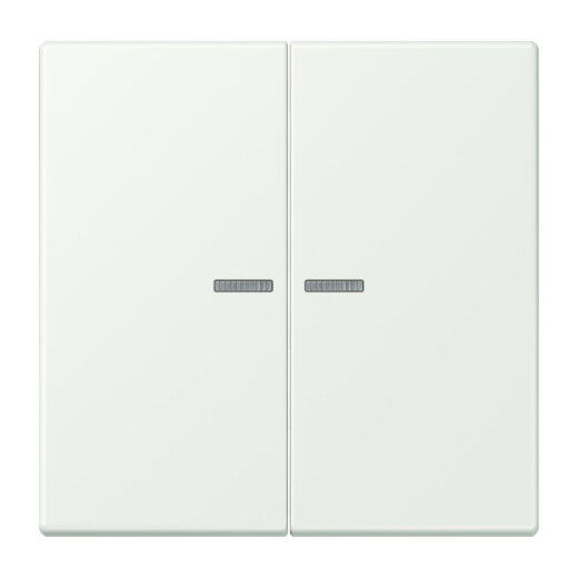 Jung HOME Taster 2fach, Serie LS, outremer gris BTLC17102210